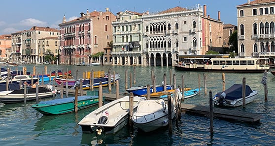 Taking a broader, ecological view of Venice