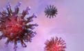 coronavirus covid-19 Blowing coronavirus all out of proportion