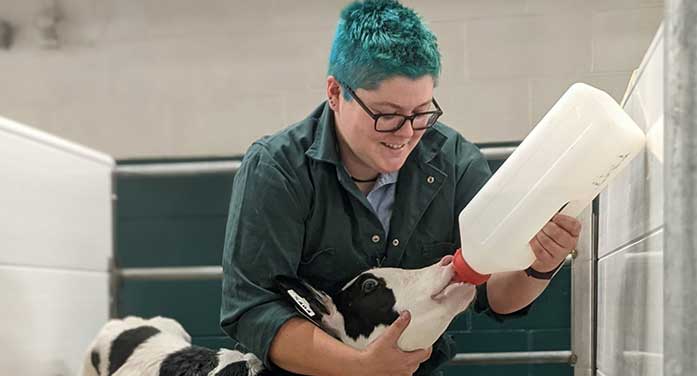 Researcher aims to buy more time for dairy calves to absorb vital antibodies