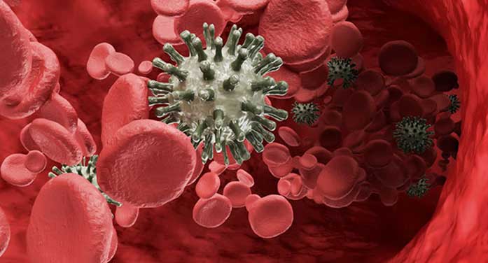 Killer T cells could ignite immune response against cancer: study