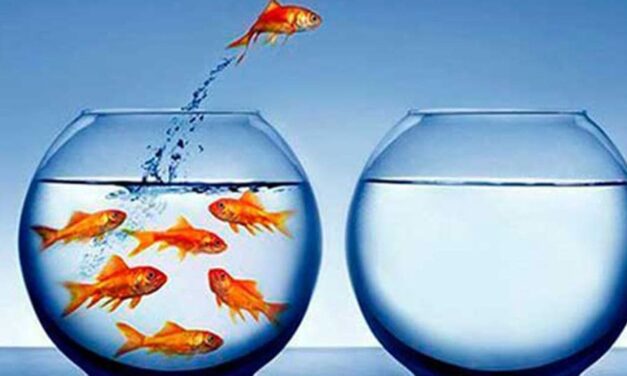 Still not getting hired? Your resume, mindset or strategy might be why