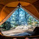 Nova Scotia’s forest access ban goes too far